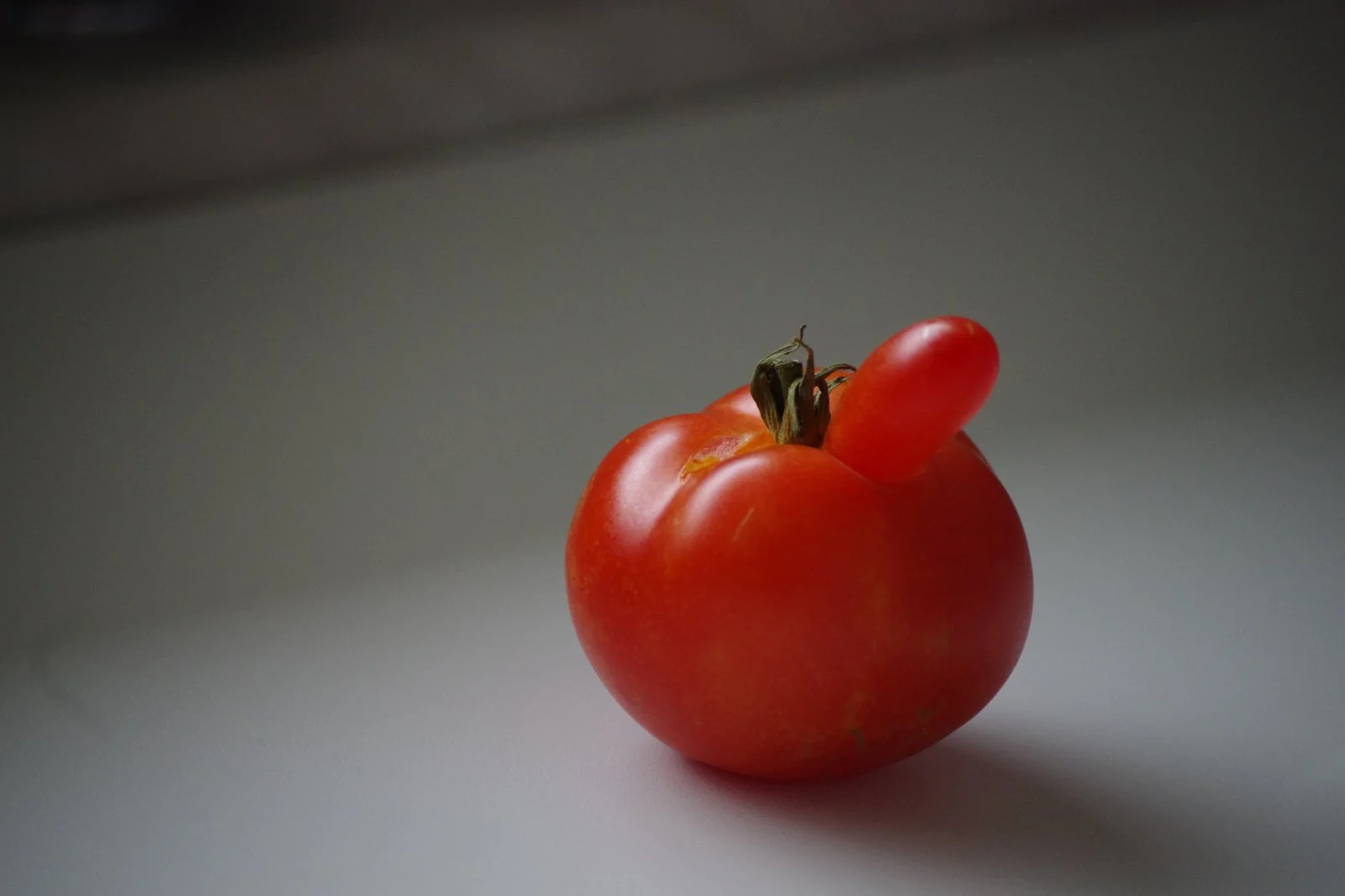 Lustige_Tomate.JPG