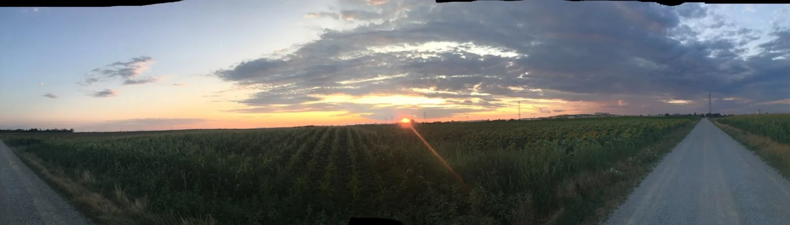 mms_20190804_204935.jpg