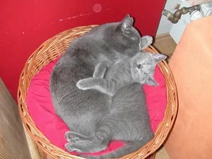 Mona und Saphira