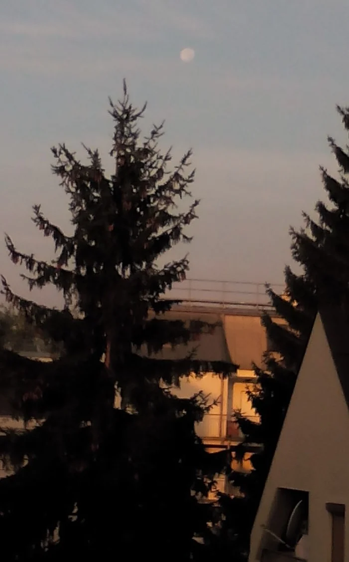 Mond im Morgenlicht 20160820_063043.jpg