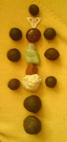 moquisbaum.jpg