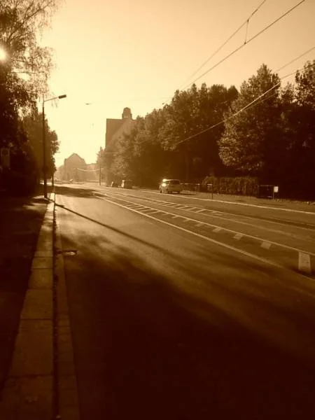 Morgennebel...
