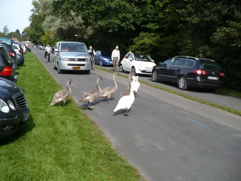 ..noch ein Stck bis zum Teich :-)