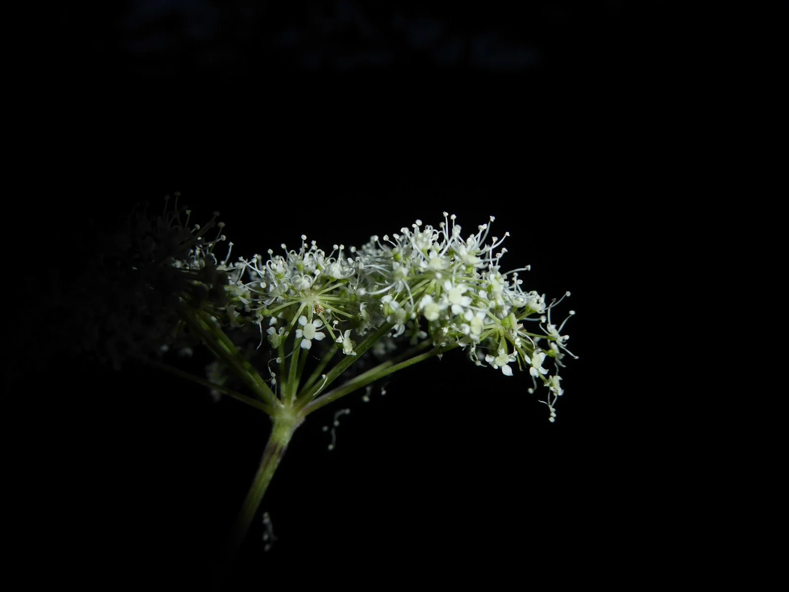 P1000197.JPG