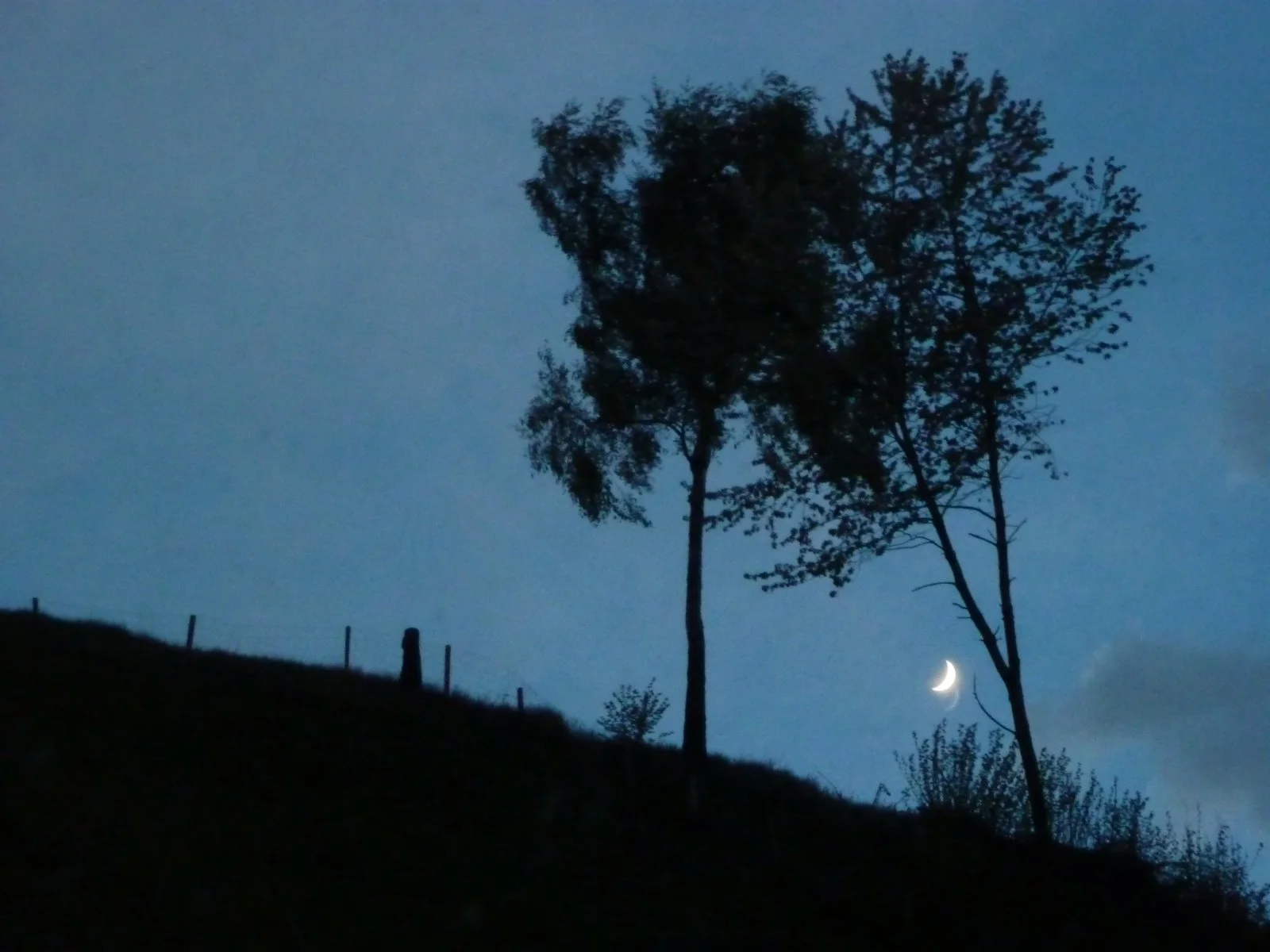 P1000530.JPG