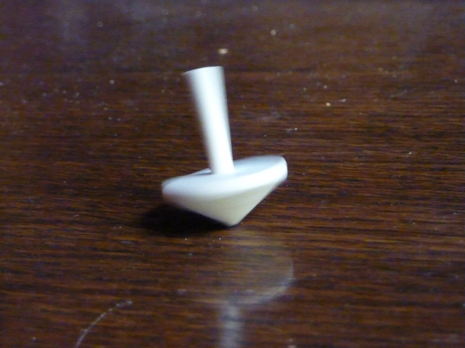 P1010002.JPG