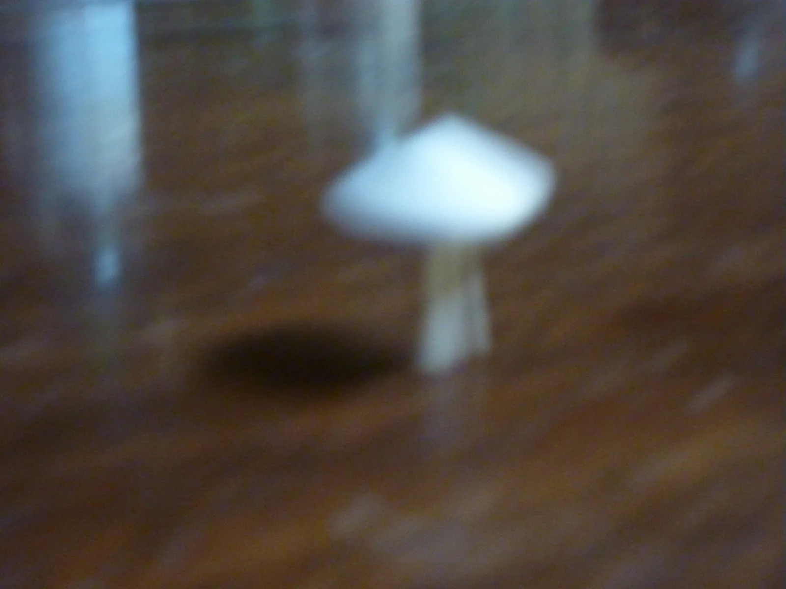P1010004.JPG