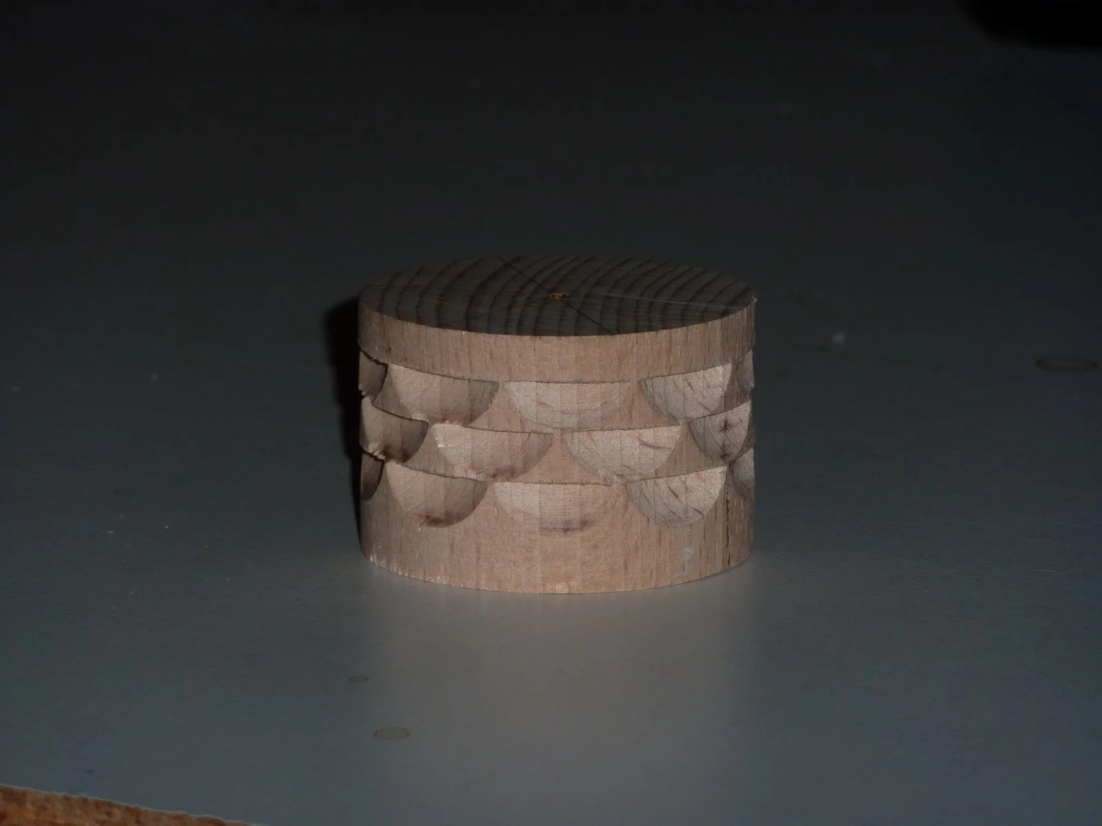 P1010164.JPG