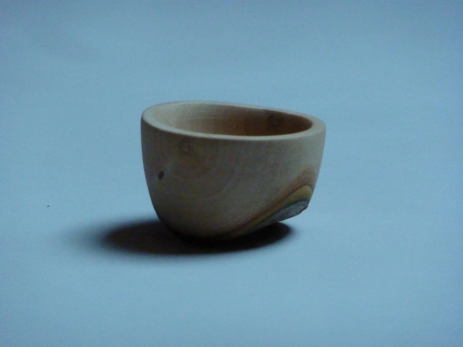 P1010535.JPG