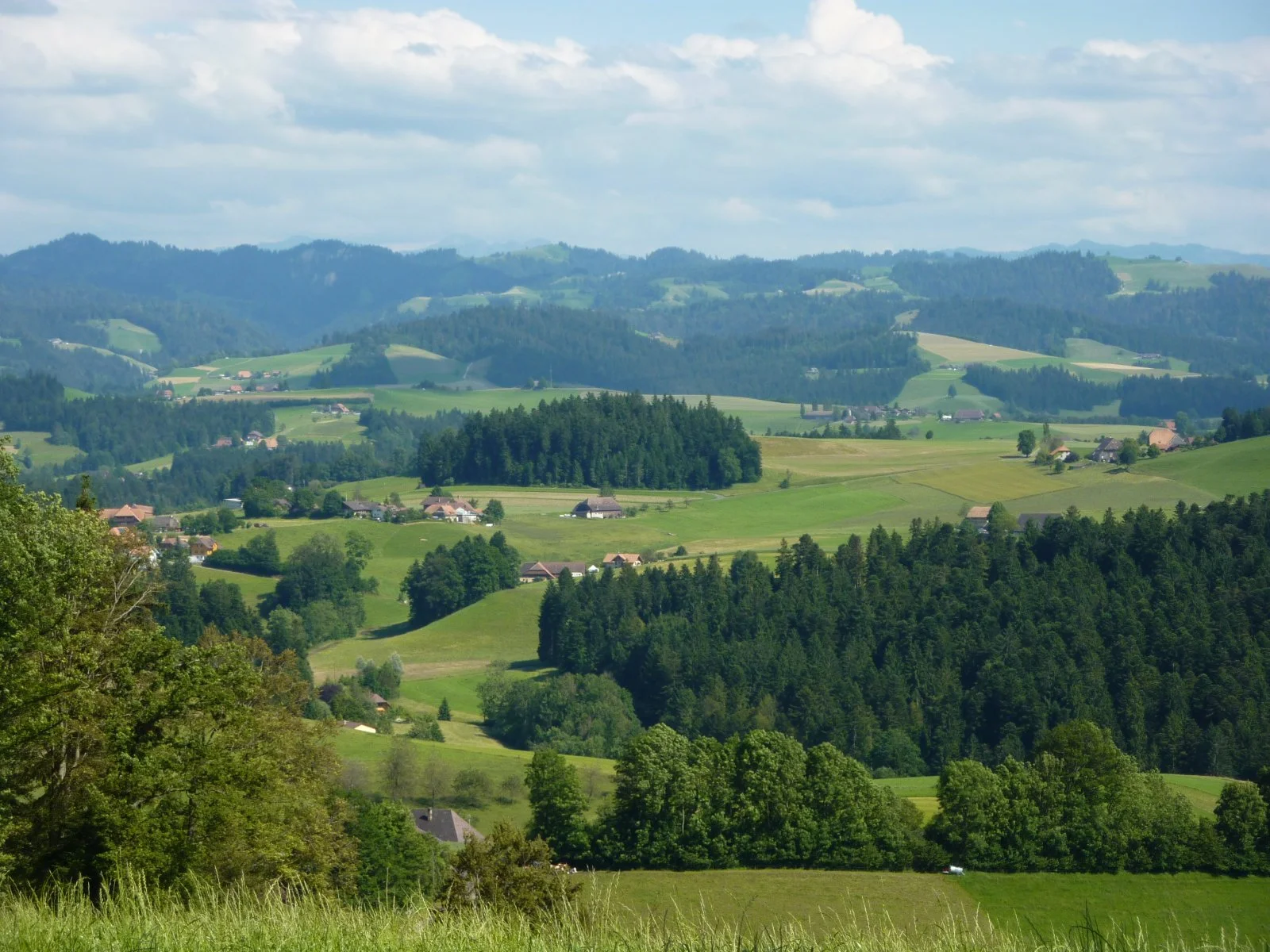 P1010542.JPG