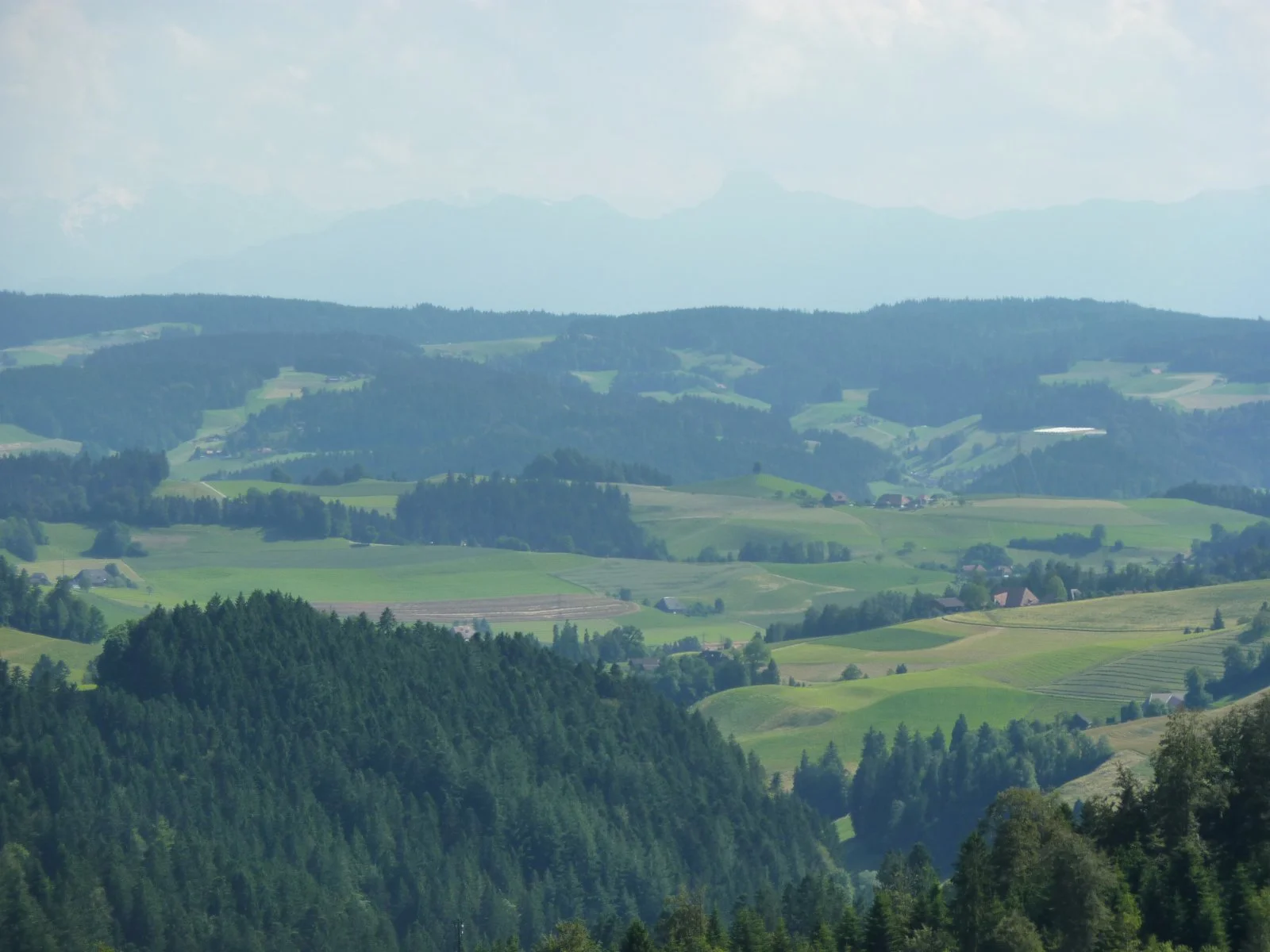 P1010544.JPG