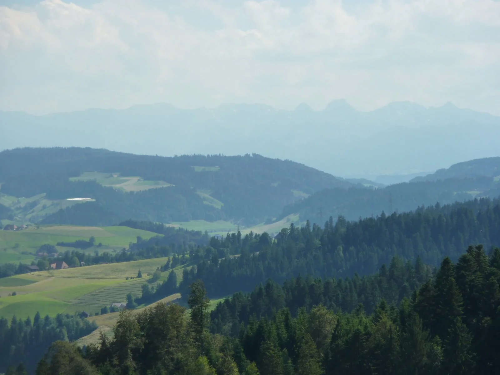 P1010545.JPG