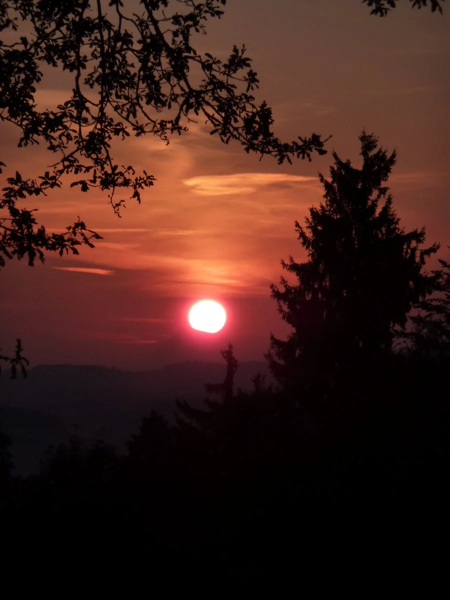 P1010635.JPG