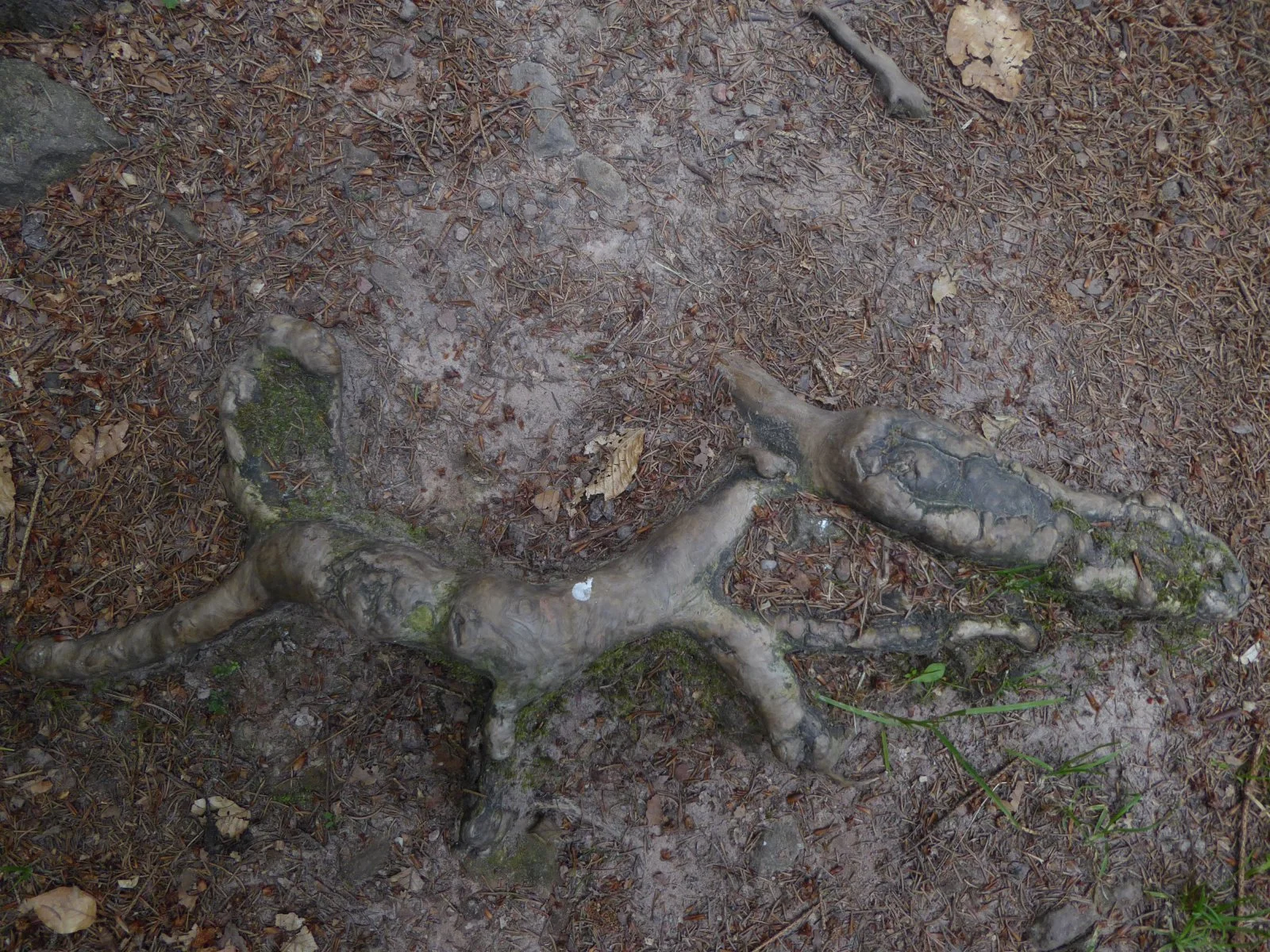 P1010830.JPG