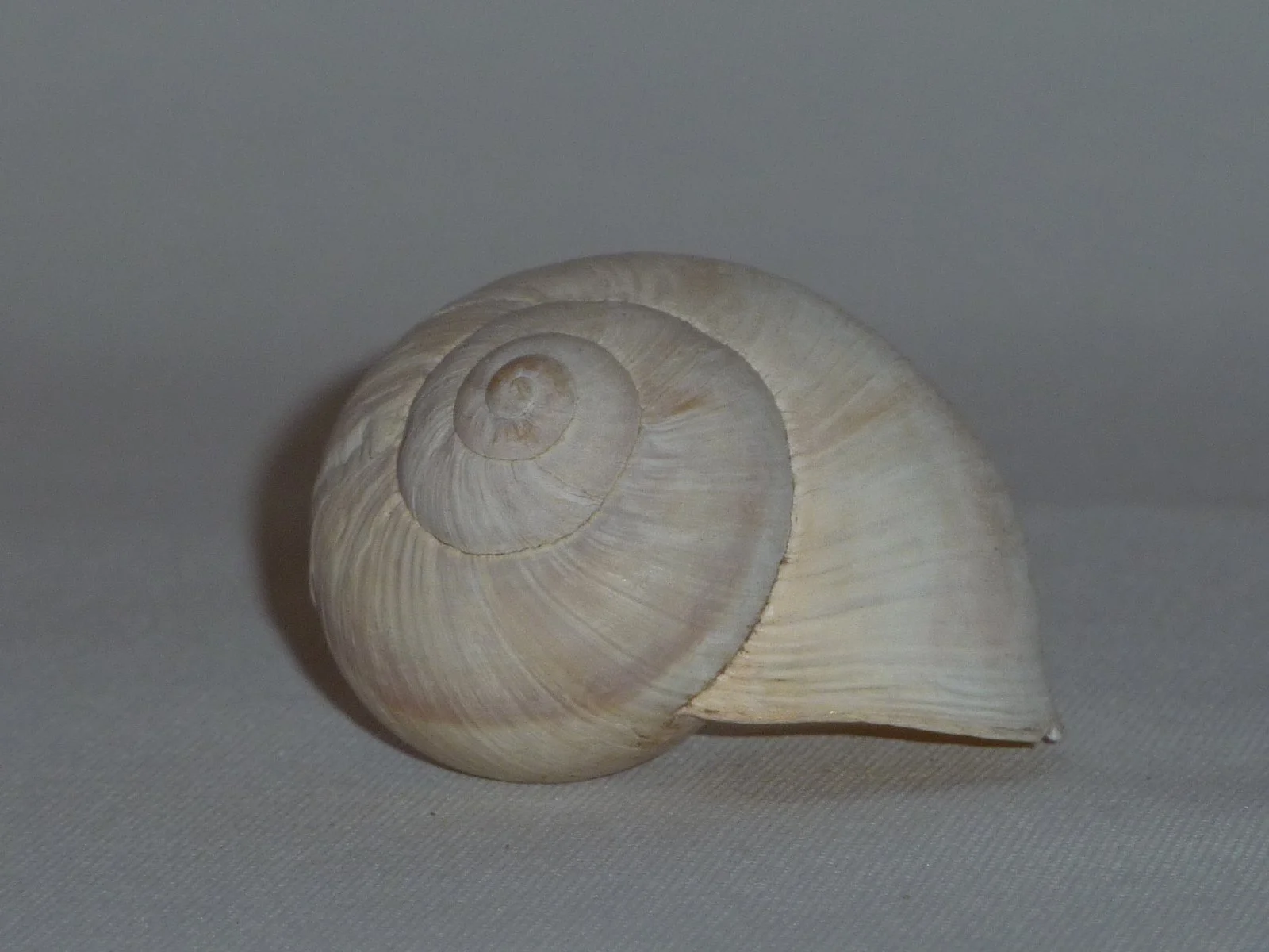 P1010831.JPG