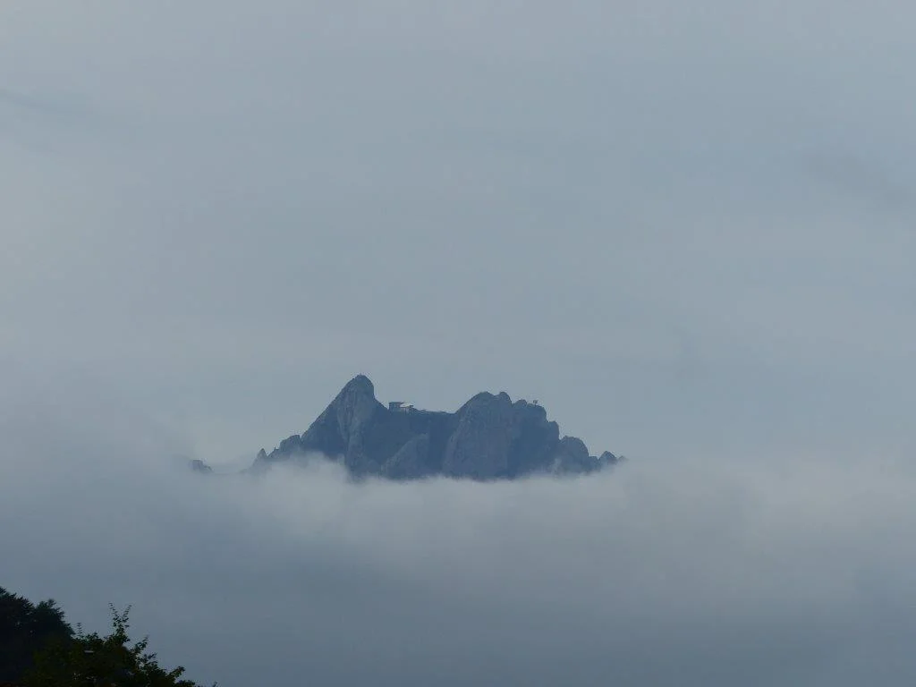 P1030621.webp