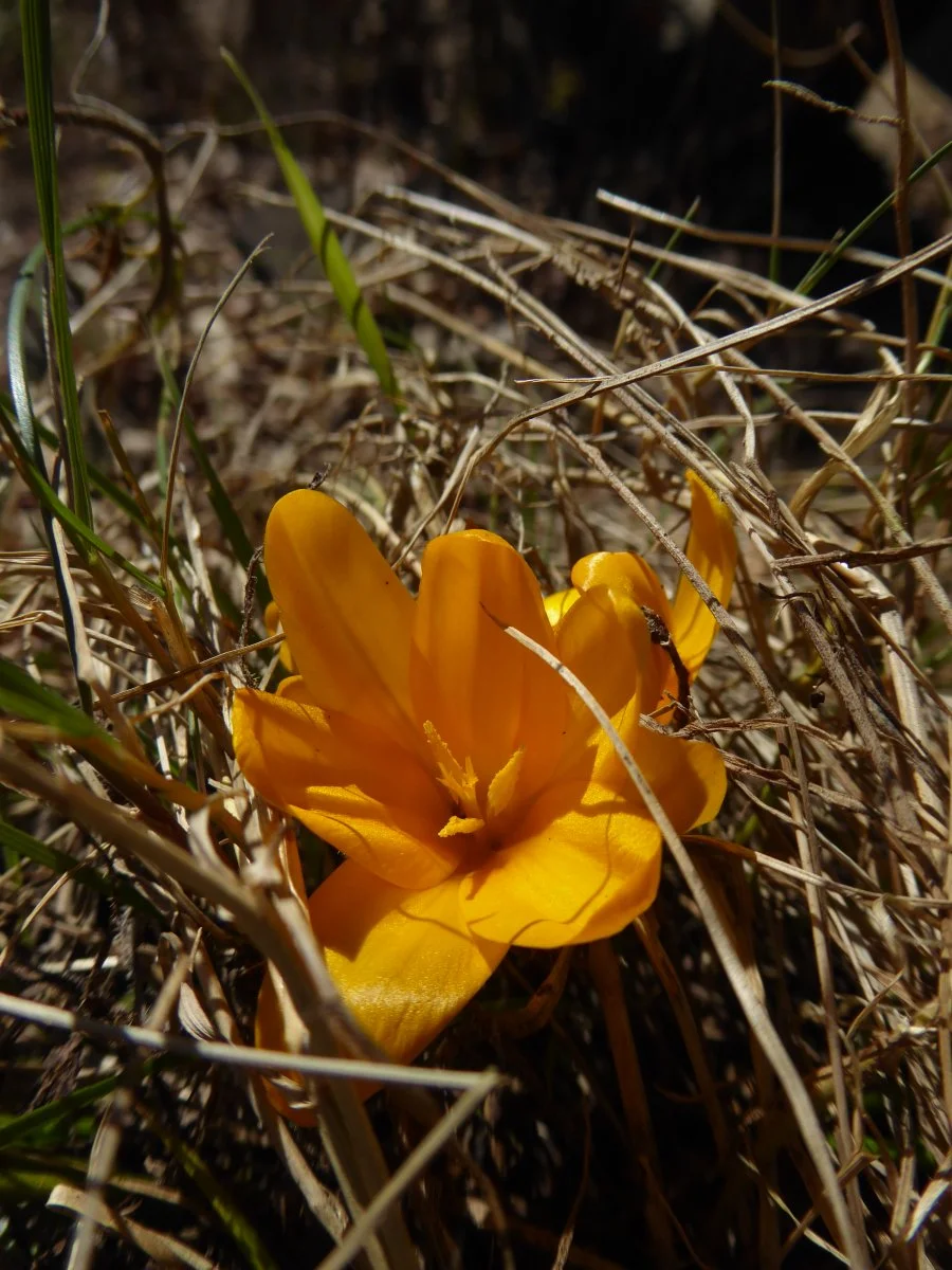 P1030797.JPG