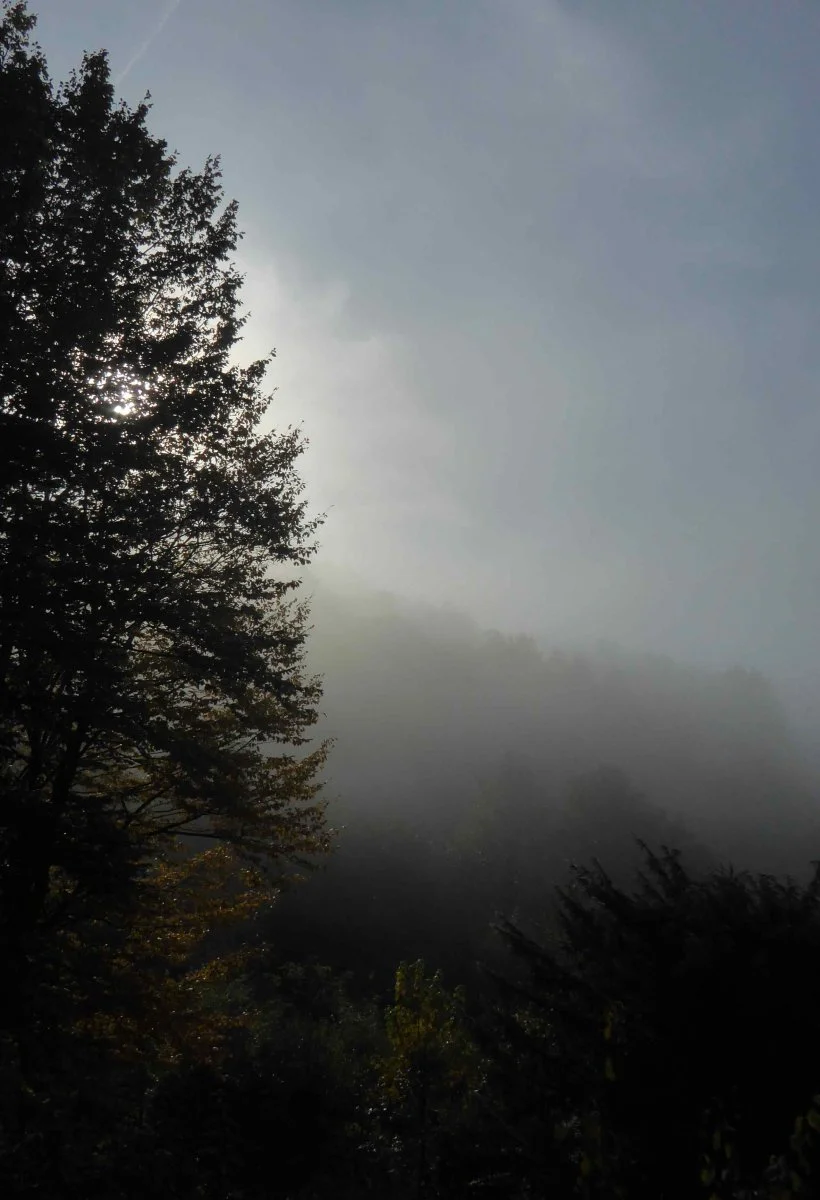 P1050300.JPG