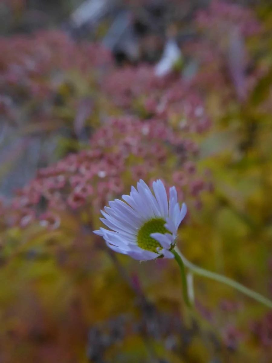 P1050345.JPG