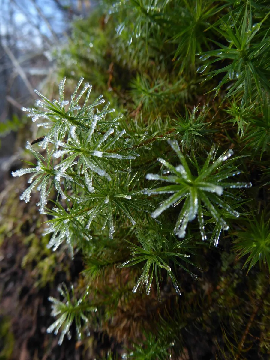 P1050425.jpg