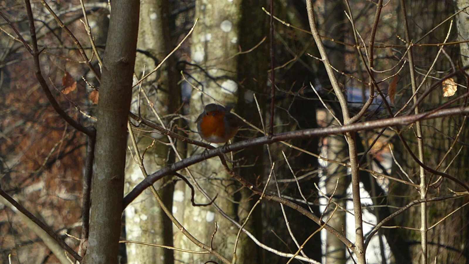 P1050430.JPG