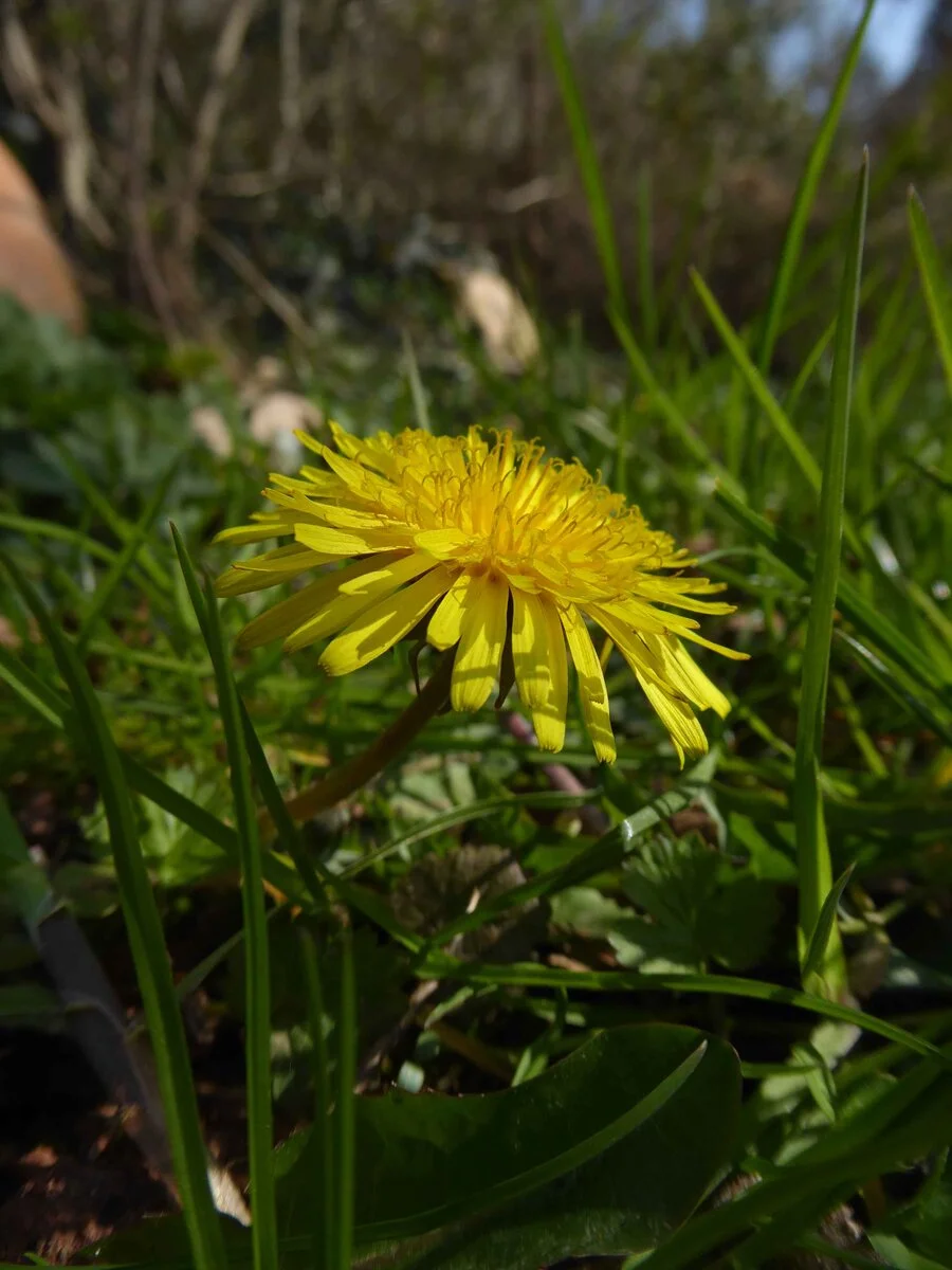 P1050556.JPG