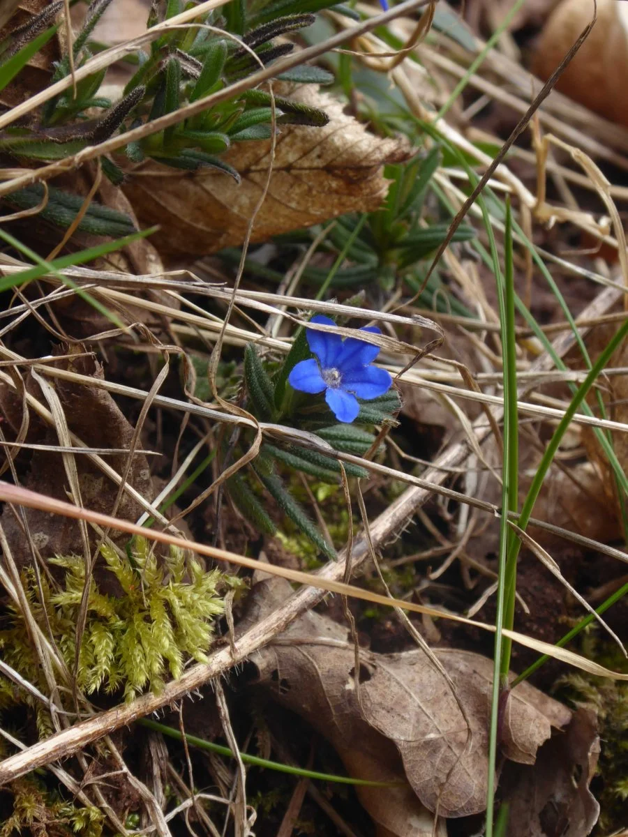 P1060145.jpg