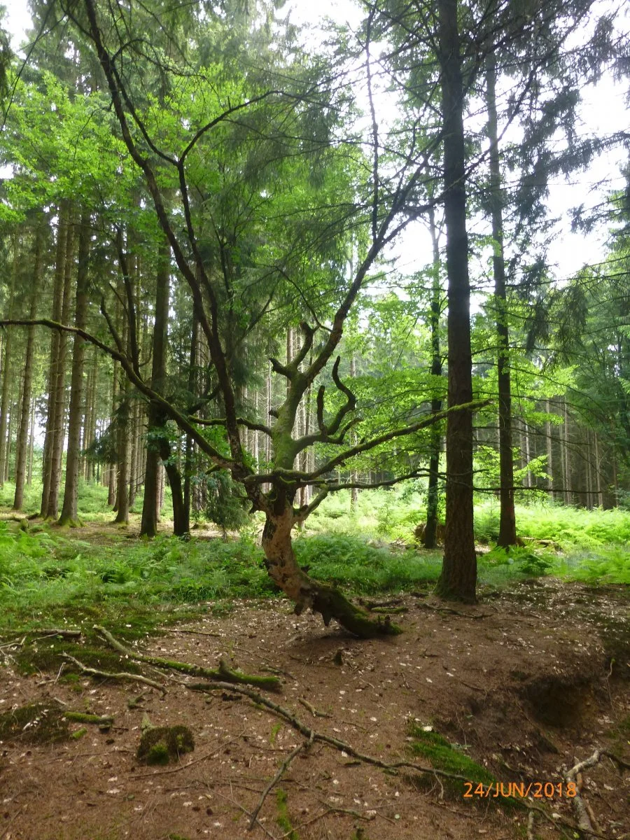 P1060341.JPG
