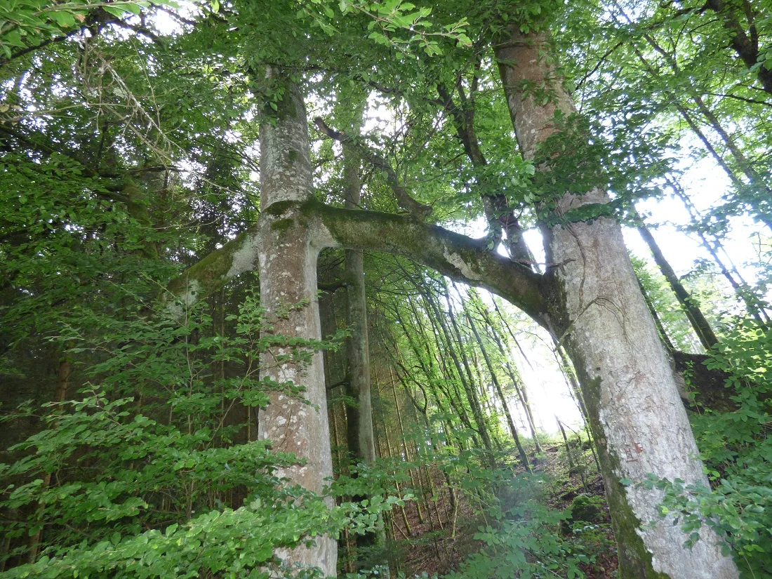 P1080020.jpg