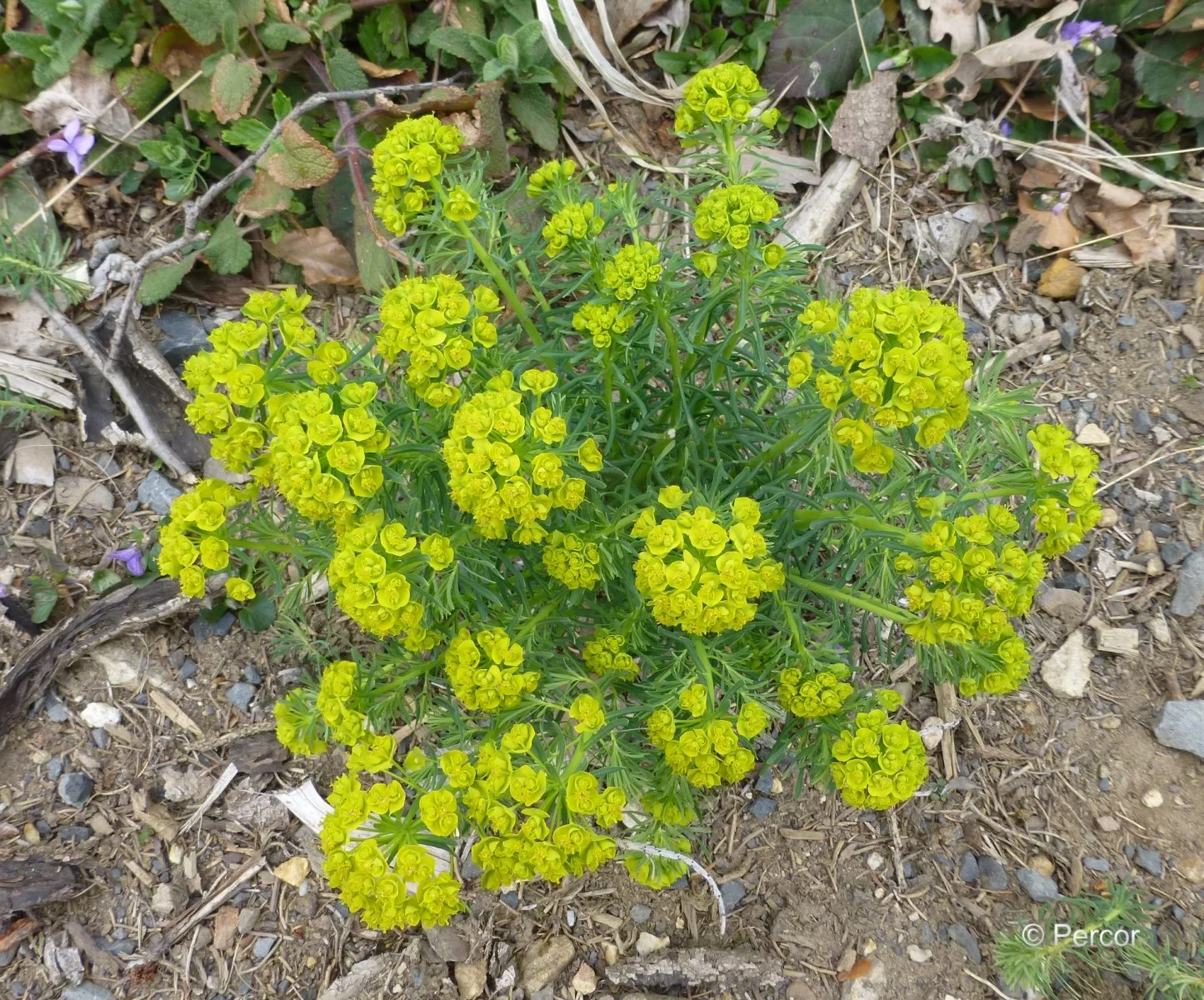 P1080060_1.JPG
