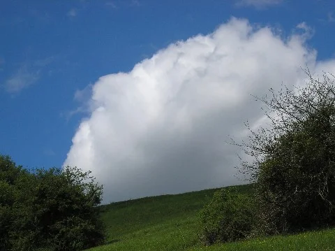 P4300017 Mittlere Webansicht.jpg