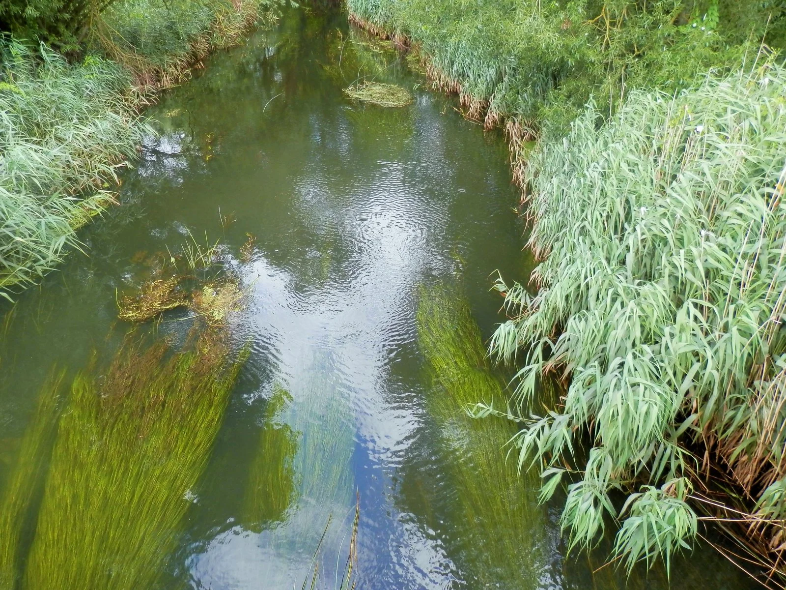 P7210508 (2).JPG