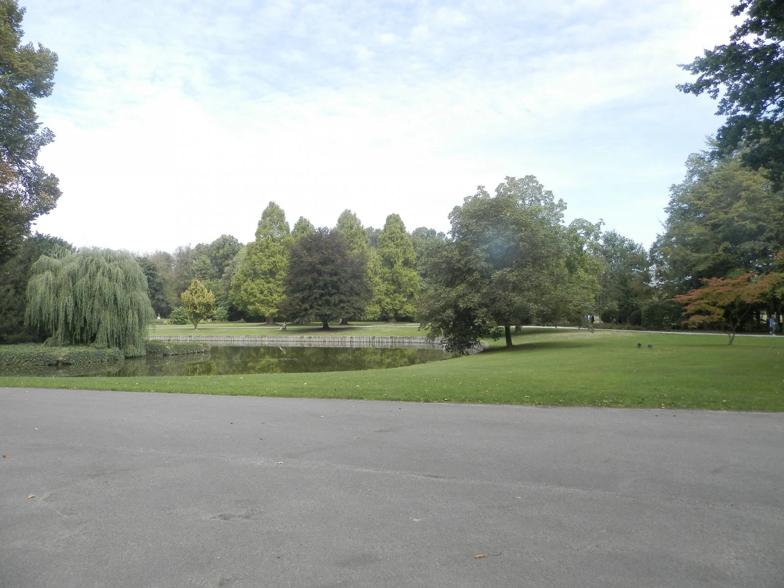 P9091206.JPG