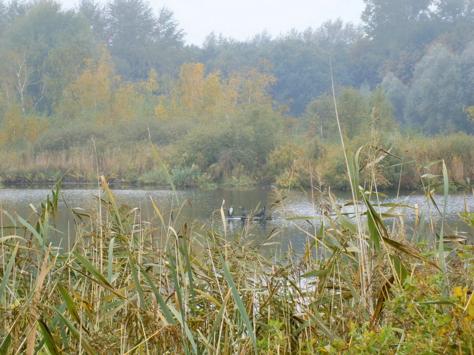 PA160047.JPG