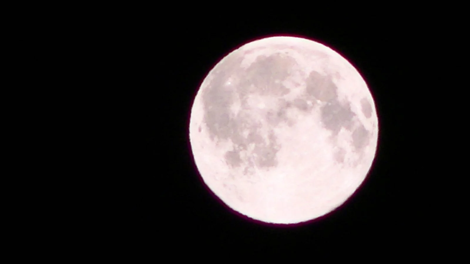 PIC_0006.jpg