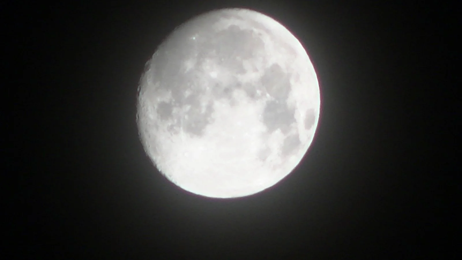 PIC_0007.JPG