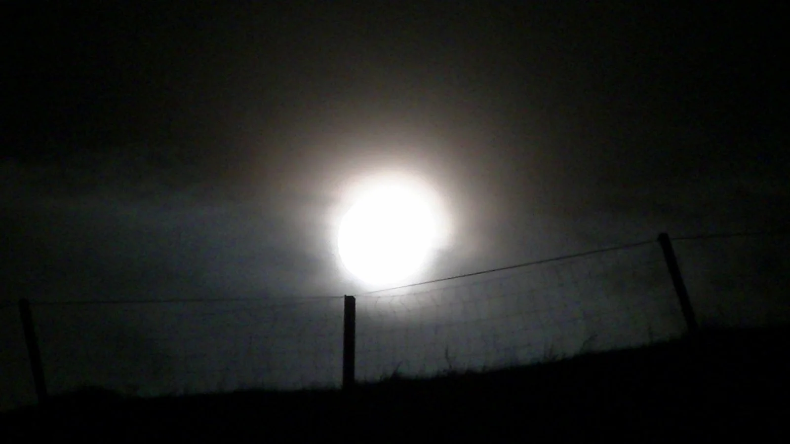 PIC_0008.JPG