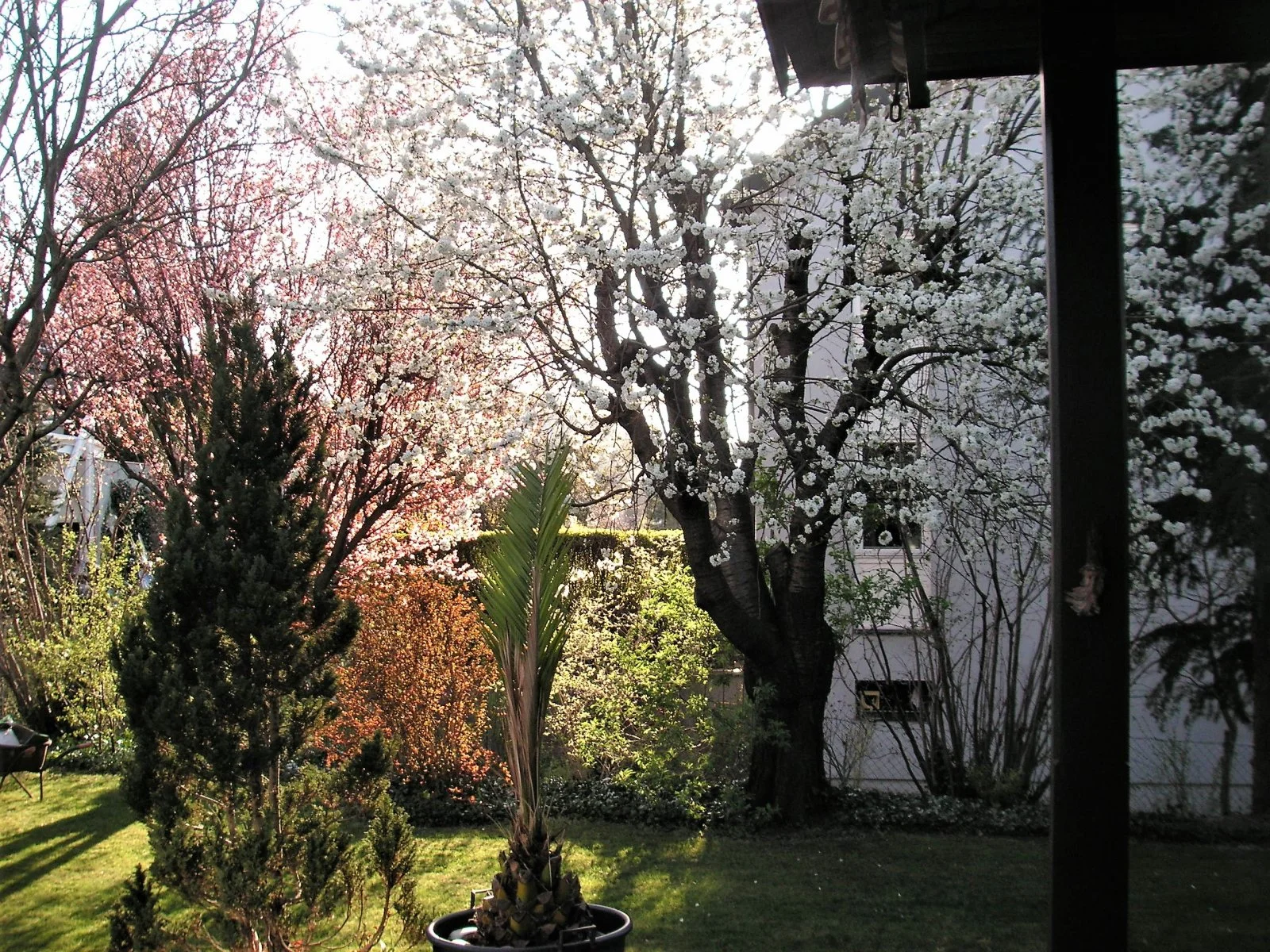 PICT0001.JPG