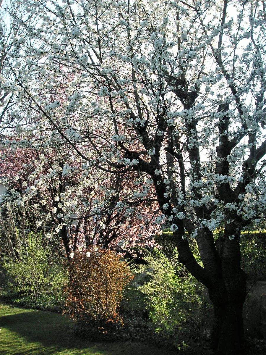 PICT0005.JPG