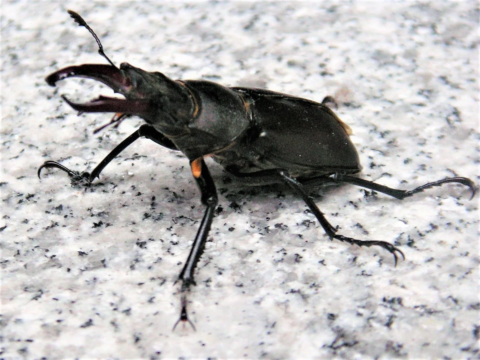 PICT0012.JPG