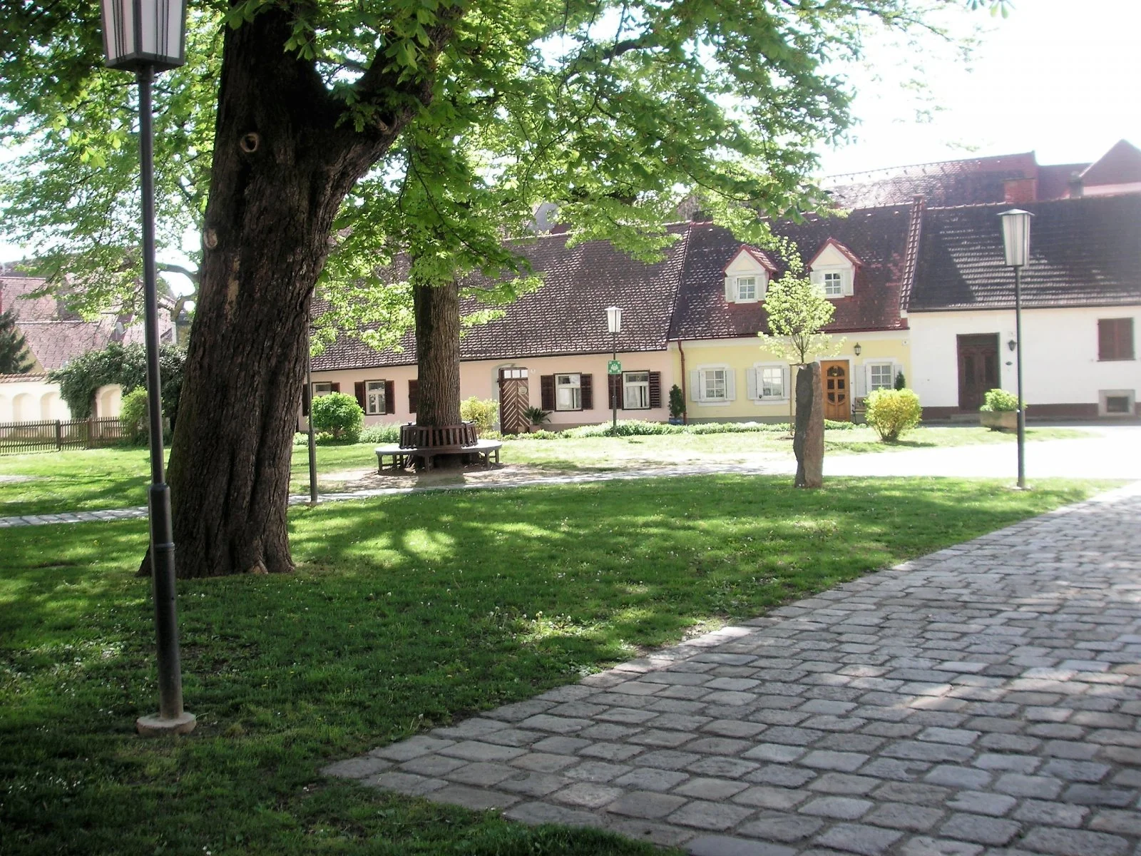 PICT0042.JPG