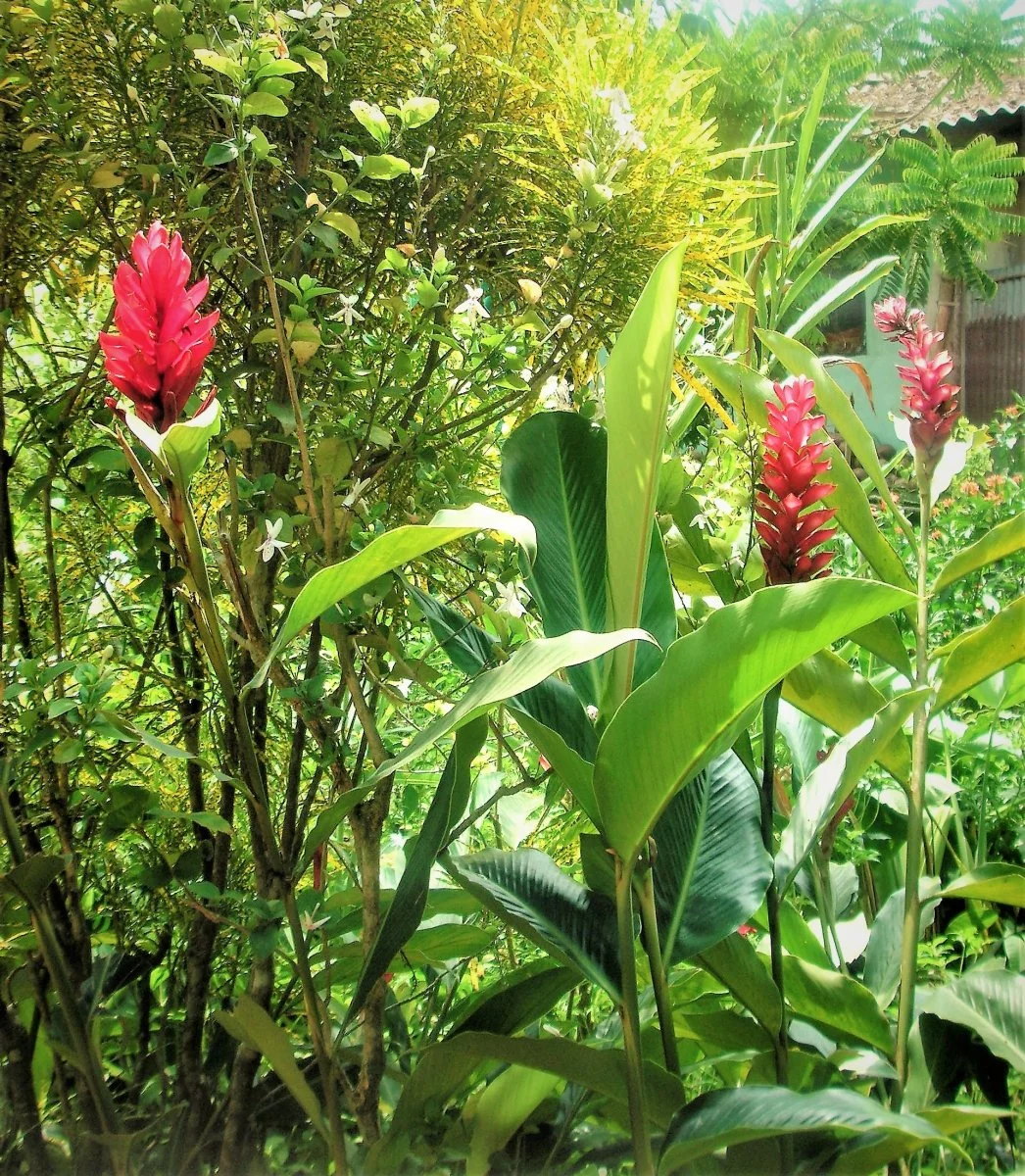 PICT0074.JPG
