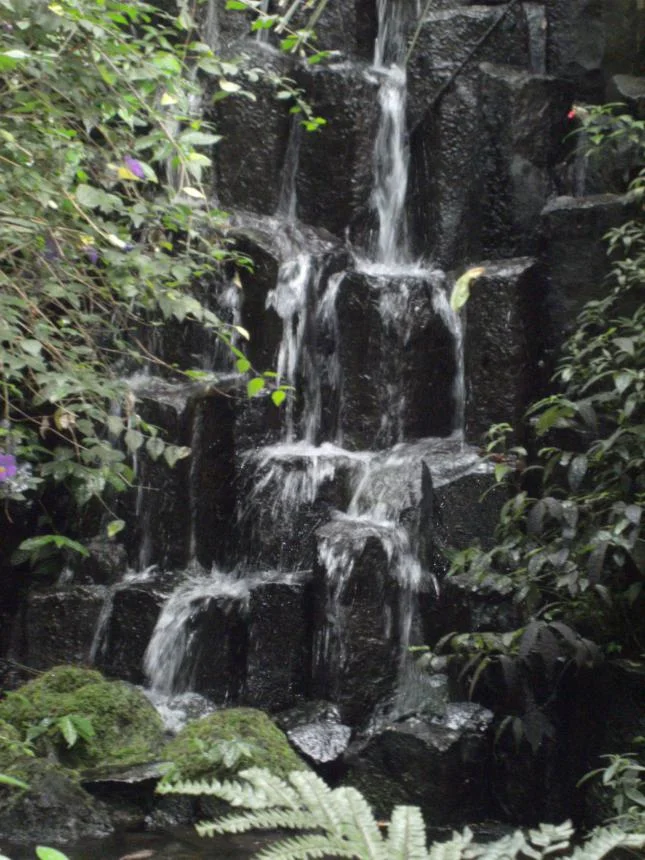 PICT0106.jpg
