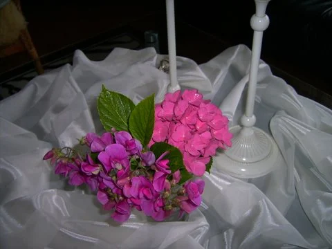 PICT2539.JPG