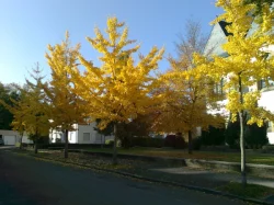 Pictures_u57_tkafMIBE
