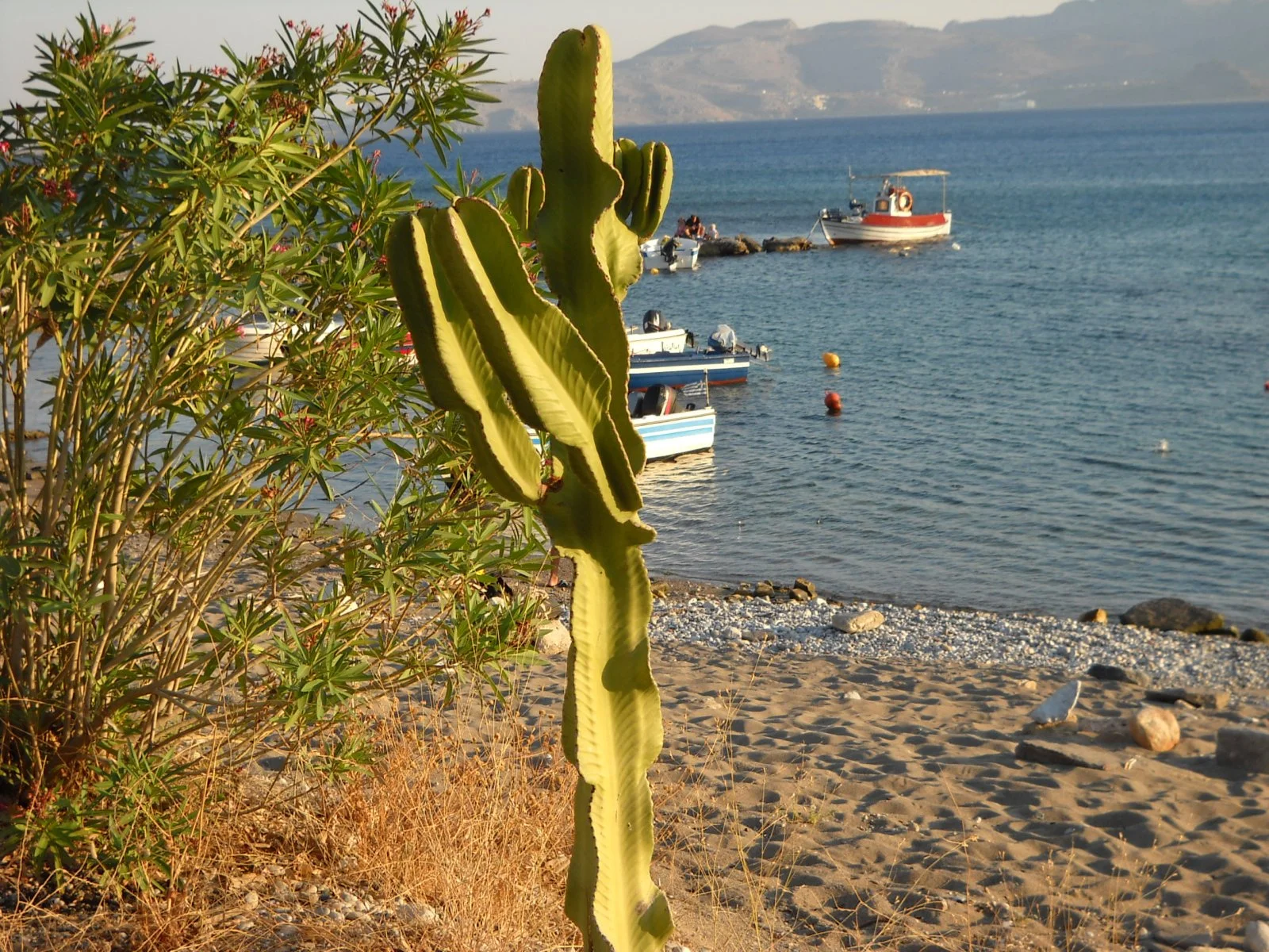 R175.jpg