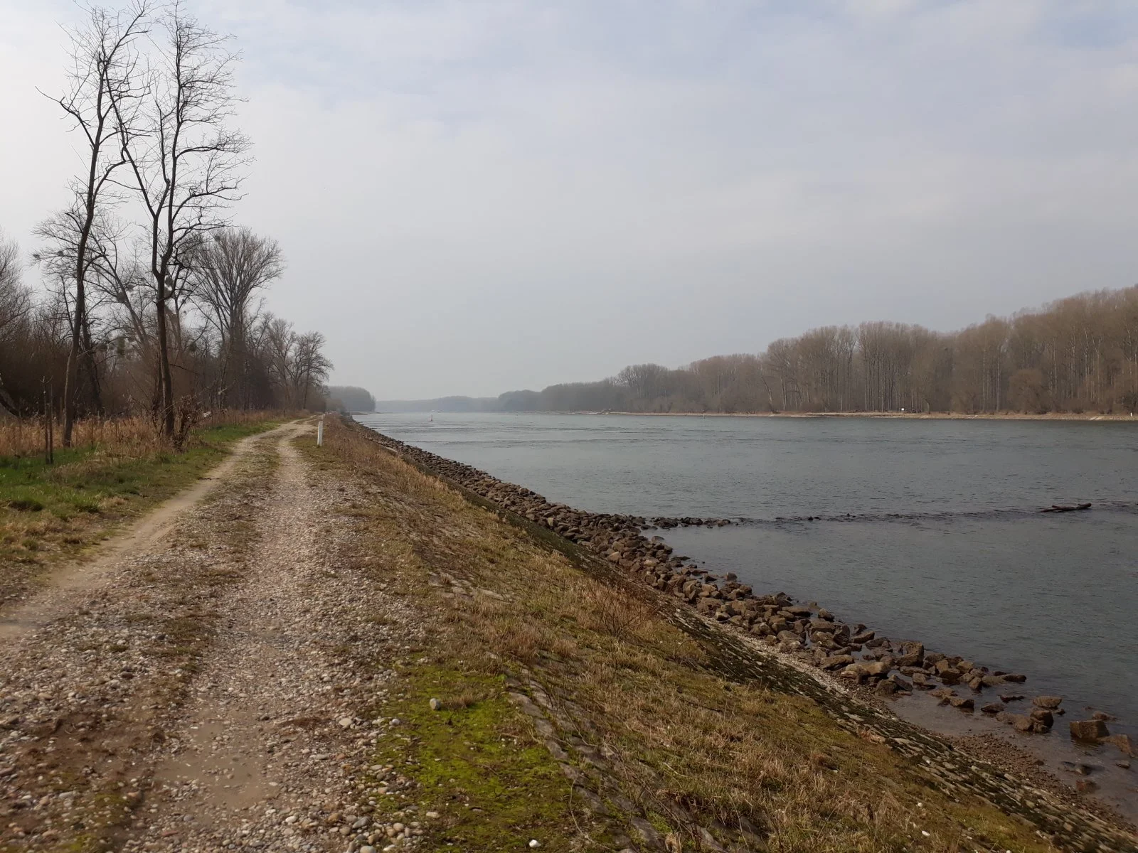 Rhein