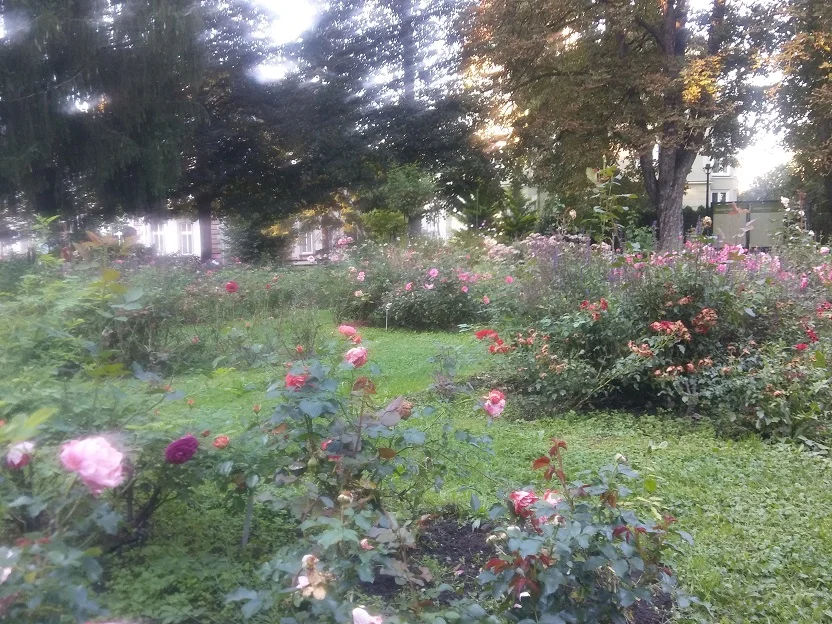 Rosengarten_11.jpg