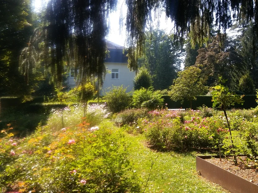 Rosengarten_3.jpg