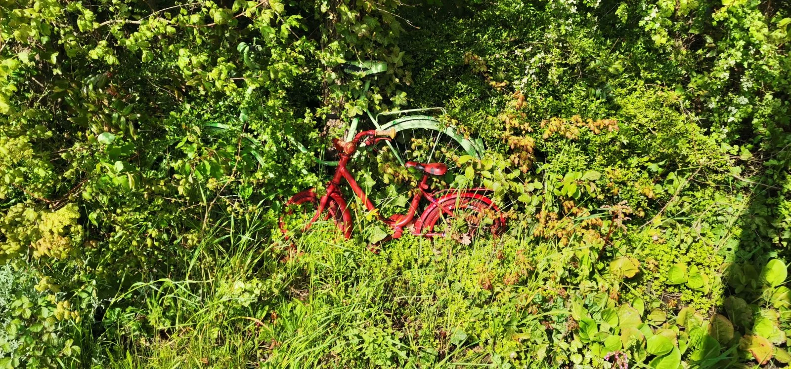 RotGrün in Grün